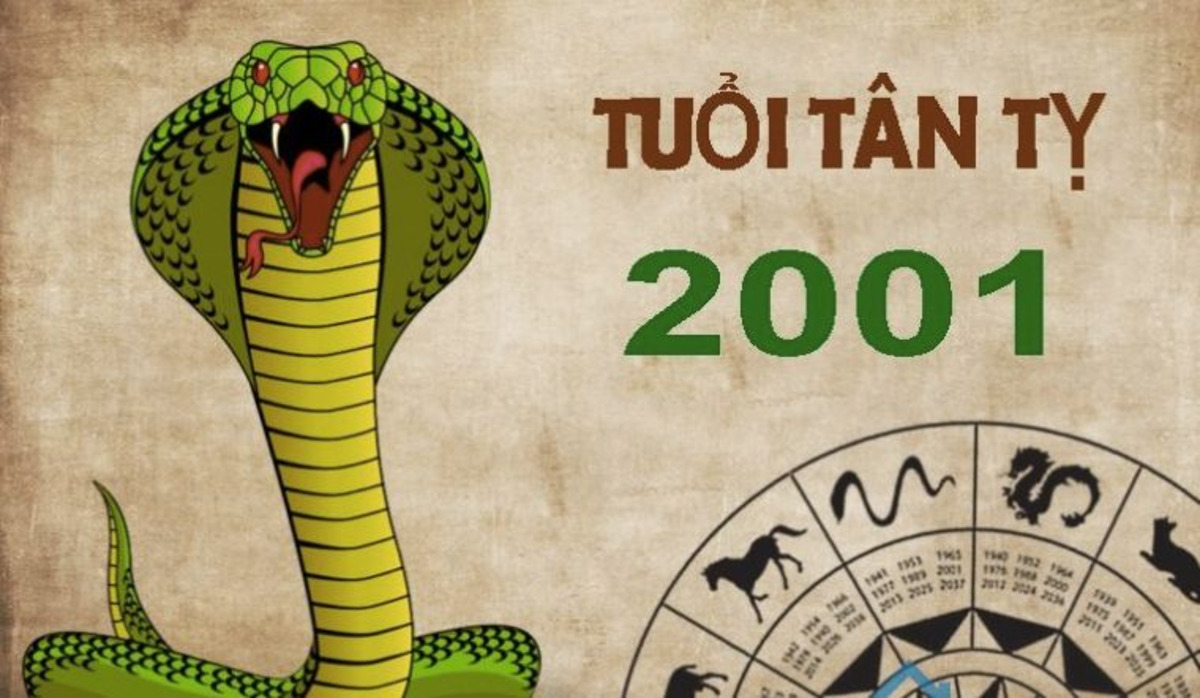 nguoi tuoi ty sinh nam 2001 tan ty thuoc menh kim cu the la nap am bach lap kim Người tuổi Tỵ sinh năm 2001 (Tân Tỵ) thuộc mệnh Kim, cụ thể là nạp âm Bạch Lạp Kim