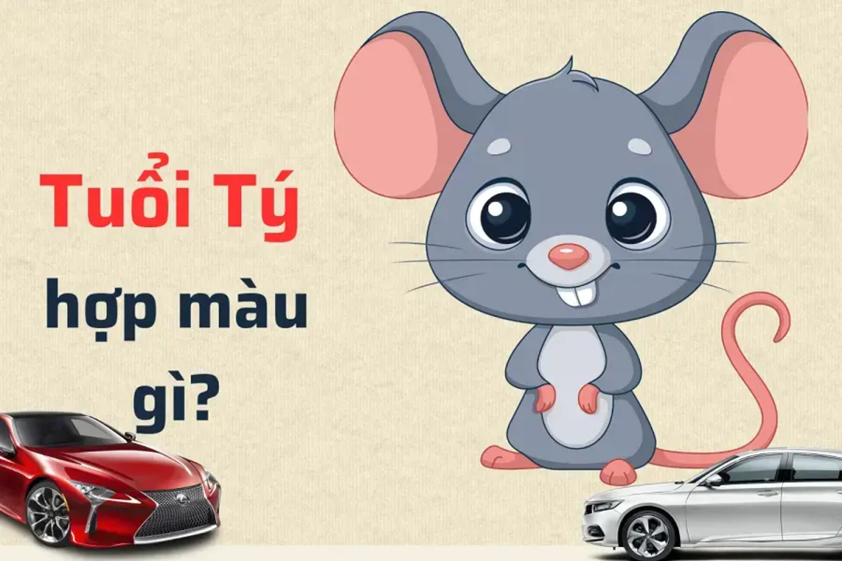 tuoi giap ty hop xe mau gi Tuổi Giáp Tý hợp xe màu gì?