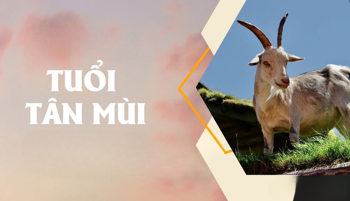 tuoi mui 1991 thuoc menh tho cu the la nap am lo bang tho Tuổi Mùi 1991 thuộc mệnh Thổ, cụ thể là nạp âm Lộ Bàng Thổ